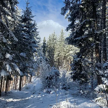 Waldblick - Neubau - Self-check-in - Kein Verkehr - Am Wald - Parkplaetze Vor Tuer - Or Double *