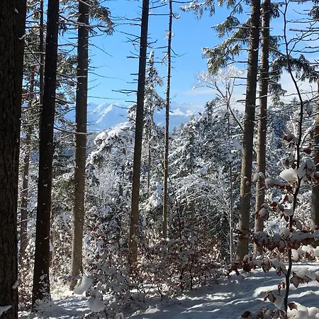 Waldblick - Neubau - Self-check-in - Kein Verkehr - Am Wald - Parkplaetze Vor Tuer - Or Double Ίνσμπρουκ