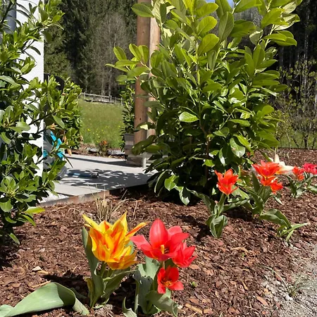 Waldblick - Neubau - Self-check-in - Kein Verkehr - Am Wald - Parkplaetze Vor Tuer - Or Double Appartement Innsbruck