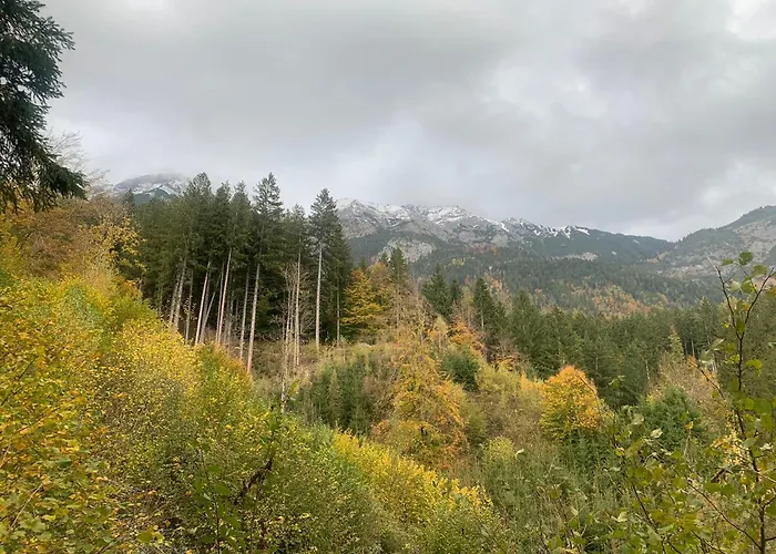 Waldblick - Neubau - Self-check-in - Kein Verkehr - Am Wald - Parkplaetze Vor Tuer - Or Double