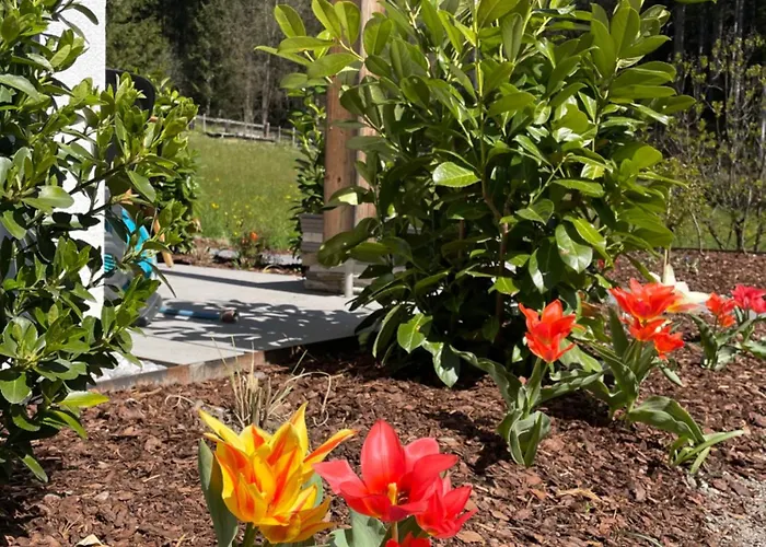 Waldblick - Neubau - Self-check-in - Kein Verkehr - Am Wald - Parkplaetze Vor Tuer - Or Double Appartement Innsbruck