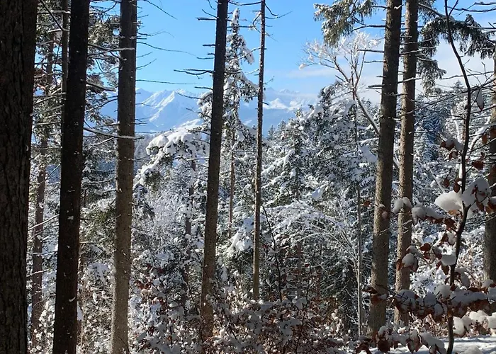 Waldblick - Neubau - Self-check-in - Kein Verkehr - Am Wald - Parkplätze Vor Tür - Or Double Innsbruck