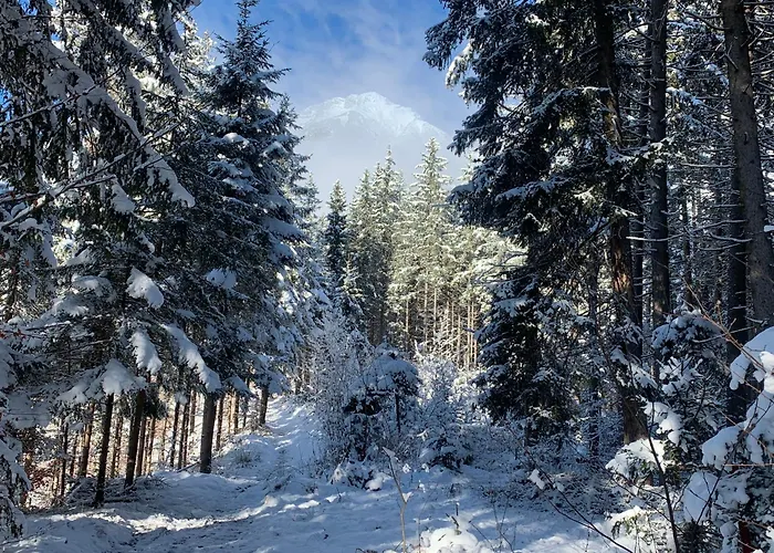 Waldblick - Neubau - Self-check-in - Kein Verkehr - Am Wald - Parkplätze Vor Tür - Or Double *